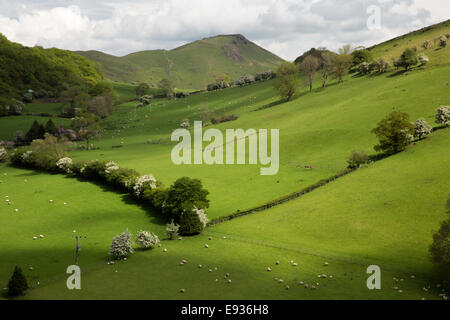 Le Shropshire Hills près de Church Stretton avec Caer Caradoc et espérons Bowdler collines au loin, Shropshire, England, UK Banque D'Images