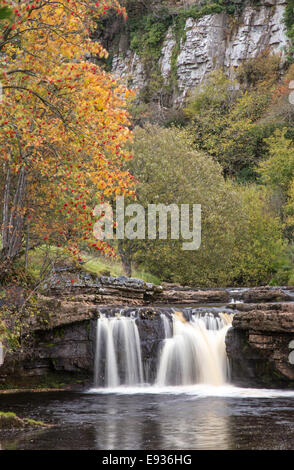 L'automne à Wath Wain vigueur à la rigole de la rivière dans le Yorkshire Dales National Park, North Yorkshire, England, UK Banque D'Images
