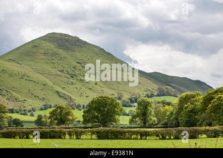 L'Lawley hill 377m (1237ft) près de Church Stretton, Shropshire, England, UK Banque D'Images