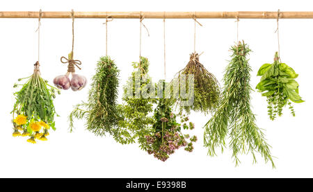 La pendaison des bouquets de fines herbes épicés frais isolé sur fond blanc. le romarin, basilic, thym, origan, marjolaine, l'ail, le pissenlit. Banque D'Images