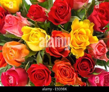 Magnifique bouquet de roses assorties frais colorés Banque D'Images