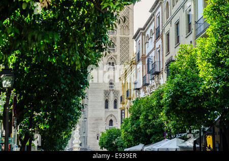 La Giralda est un ancien minaret qui a été converti en un clocher de la Cathédrale de Séville à Séville. Banque D'Images