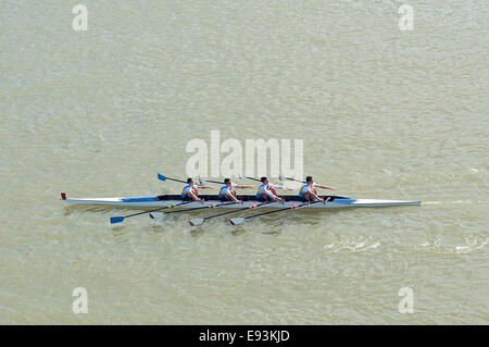 NOVI SAD, SERBIE - 18 octobre 2014 : quatre hommes de l'aviron sur le Danube à Novi Sad à distance traditionnelle sur regatta la concurrence. Banque D'Images