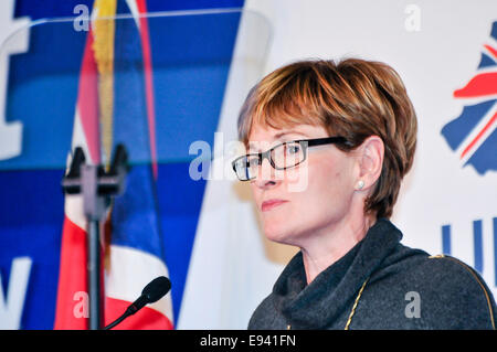 Belfast, Irlande du Nord. 18 Oct, 2014. Mairead McGuinness, DÉPUTÉ EUROPÉEN S'exprimant lors de la Conférence : Crédit unioniste de l'Ulster Stephen Barnes/Alamy Live News Banque D'Images