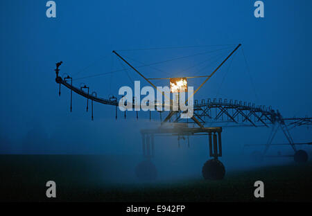 Système d'irrigation automoteur d'arroser les légumes 24 heures par jour dans une ferme du Suffolk, UK. Banque D'Images