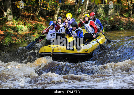 Stock Photo - Raft race, de Buncrana, comté de Donegal, Irlande. ©George Sweeney /Alamy Banque D'Images