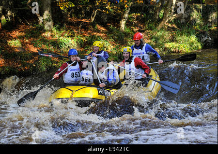 Stock Photo - Raft race, de Buncrana, comté de Donegal, Irlande. ©George Sweeney /Alamy Banque D'Images