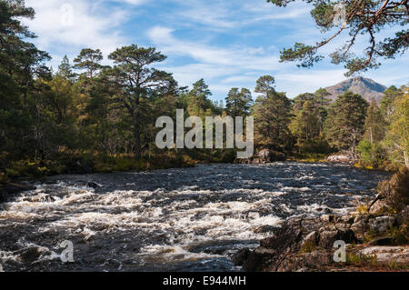 À l'ouest le long de la tumbling eaux de Garbh Uisge, Glen Affric, Highlands, Ecosse. Banque D'Images