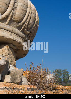 Heraion de Samos, sanctuaire de la déesse Héra de Samos, Grèce, un UNESCO World Heritage Site, base de colonne géant en mode paysage Banque D'Images