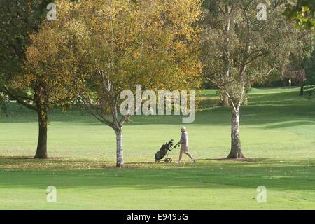 Wimbledon London,UK. 19 octobre 2014. Couleurs d'automne commencent à montrer à Wimbledon comme les feuilles des arbres commencent à prendre sur show spectaculaire d'afficher des couleurs de saison et teintes Crédit : amer ghazzal/Alamy Live News Banque D'Images