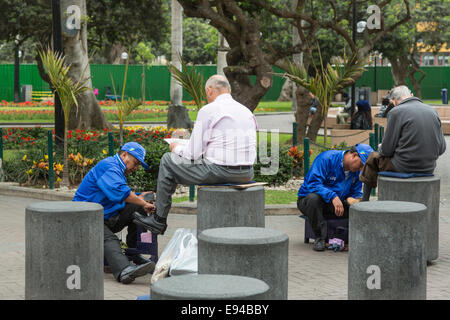 Mode de vie urbain local : les cimes de chaussures en bleu travaillent dans le parc Kennedy, Miraflores, Lima, Pérou Banque D'Images