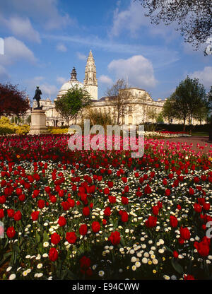 Cardiff city hall et tour de l'horloge au printemps avec des tulipes en premier plan Banque D'Images