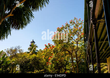 Nous, en Floride, Key West. Ernest Hemingway Home. Banque D'Images