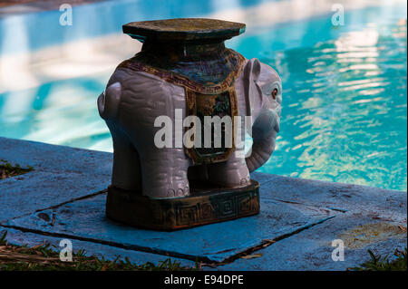 Nous, en Floride, Key West. Ernest Hemingway Home. Banque D'Images