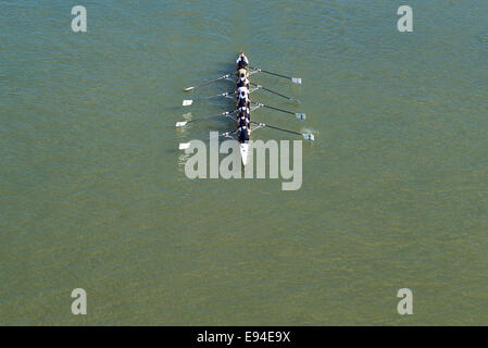 NOVI SAD, SERBIE - 18 octobre 2014 : quatre hommes de l'aviron sur le Danube à Novi Sad à distance traditionnelle sur regatta la concurrence. Banque D'Images