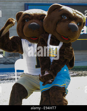 USA Berkeley CA. 18 Oct, 2014. Au cours de la mascotte de l'UCLA NCAA Football match entre les Bruins de UCLA en Californie et Golden Bears 36-34 gagner au Memorial Stadium Berkeley Californie Crédit : csm/Alamy Live News Banque D'Images