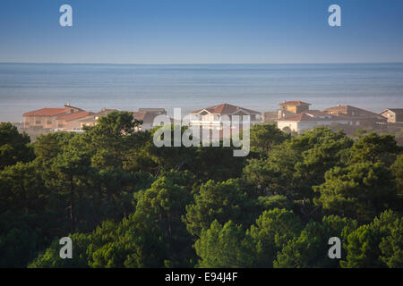 À Hossegor (France), villas avec vue sur la mer et la forêt de pin maritime (Pinus pinaster) au premier plan. Banque D'Images