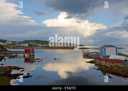 La réflexion de Twillingate, Terre-Neuve, Canada Banque D'Images