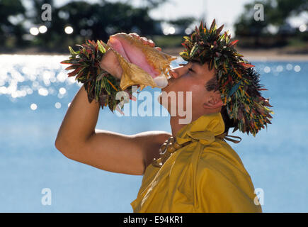 Un homme d'Hawaï souffle une conque à trompette un fort bruit qui annonce le début d'un luau à Honolulu, Hawaii, USA. Banque D'Images