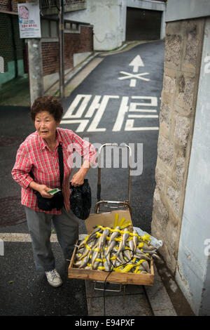 Le 11 septembre 2013, Séoul, Corée du Sud - Corée - Une femme avec un panier de poisson frais à vendre route dans le village de Bukchon. Banque D'Images