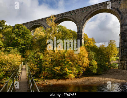 Arcades du viaduc Lambley un pont au-dessus de la rivière South Tyne dans le Northumberland Banque D'Images