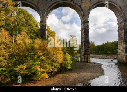 Arcades du viaduc Lambley un pont au-dessus de la rivière South Tyne dans le Northumberland Banque D'Images