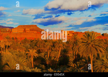 Vieille Kasbah, oasis, lumière du soir, Tinerhir, Tineghir, Tinghi, vallée de Todra, Gorges de Todra, Maroc Banque D'Images