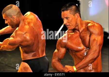 Roosendahl, aux Pays-Bas. 19 Oct, 2014. Les culturistes masculins montrant leurs meilleurs dans le bodybuilding et fitness contest au Walter's Championnat Open néerlandais Bodybuilding et Fitness sur Octobre 19, 2014 dans le théâtre 'De Kring' à Roosendahl YellowPaul, Crédit :/Alamy Live News Banque D'Images