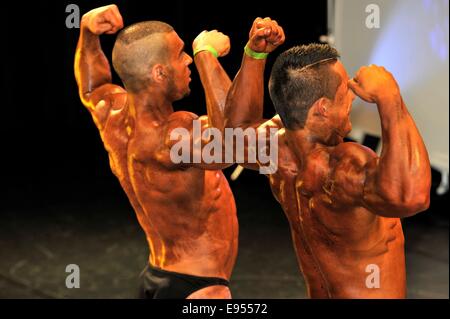 Roosendahl, aux Pays-Bas. 19 Oct, 2014. Les culturistes masculins montrant leurs meilleurs dans le bodybuilding et fitness contest au Walter's Championnat Open néerlandais Bodybuilding et Fitness sur Octobre 19, 2014 dans le théâtre 'De Kring' à Roosendahl YellowPaul, Crédit :/Alamy Live News Banque D'Images