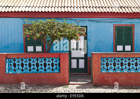 Chambre colorée avec un hibiscus à fleurs arbre, Fundo das Figueiras, Boa Vista, Cap Vert, République de Cabo Verde Banque D'Images