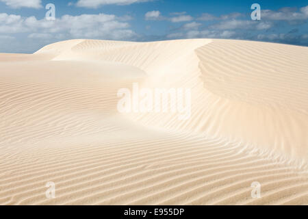 Dunes de sable dans le désert petit Deserto Viana, île de Boa Vista, Cap Vert, République de Cabo Verde Banque D'Images
