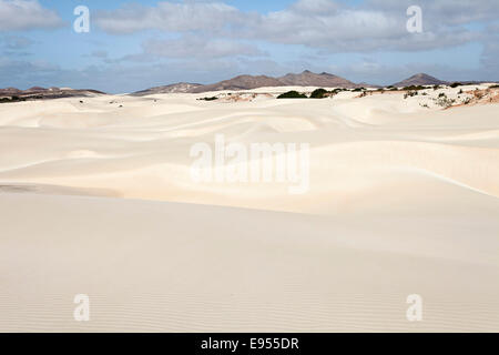 Dunes de sable dans le désert petit Deserto Viana, île de Boa Vista, Cap Vert, République de Cabo Verde Banque D'Images
