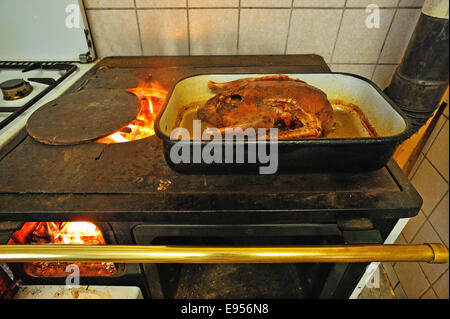 Prêt du canard rôti dans une rôtissoire sur un vieux poêle à charbon avec feu ouvert plate, Middle Franconia, Bavaria, Germany Banque D'Images