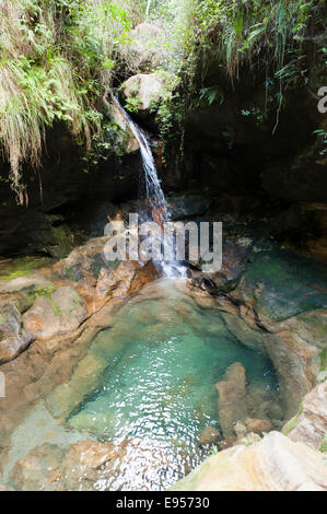 Petite cascade dans Gumpe, bleu piscine dans Namaza Canyon, Parc National d'Isalo, à Ranohira, Madagascar Banque D'Images