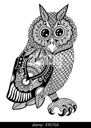 Illustrations originales de owl, encre Dessin à la main dans un style ethnique Banque D'Images