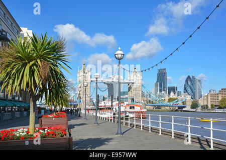 Thames Path Butlers Wharf on River Thames Tower Bridge Views Riverside Apartments restaurants canopies et fleurs rouges cordyline arbre planteurs Londres UK Banque D'Images