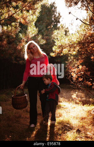 Mère et son fils serrant bien positionné en couverture cueillir des baies et champignons en panier dans la forêt d'arbres en bois de pin Banque D'Images