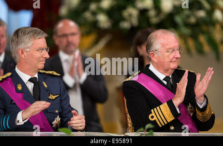 Belgique, Bruxelles le 2013/07/21 : cérémonie d'Abdication du Roi Albert II au Palais Royal Banque D'Images