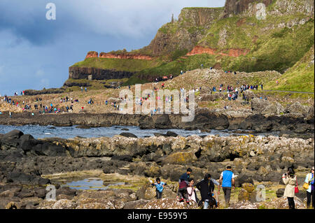 Le site du patrimoine mondial de l'UNESCO, Giants Causeway, North Coast, County Antrim, Irlande du Nord Banque D'Images