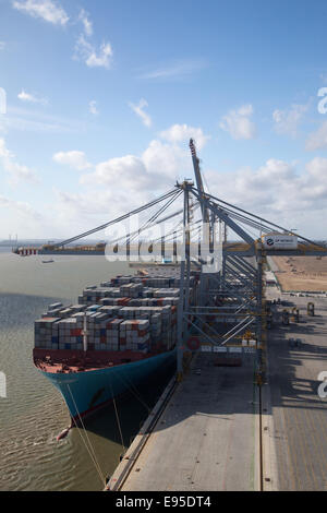 Grand porte-conteneurs Maersk,Edith,étant chargé à la DP London Gateway port sur l'estuaire de la Tamise Banque D'Images