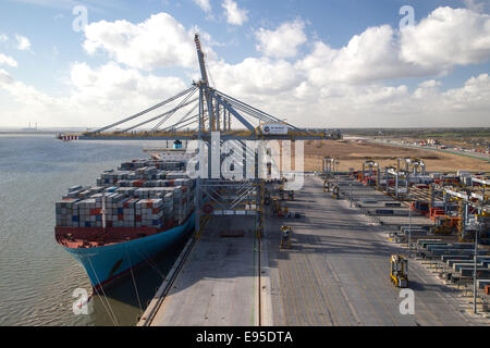 Grand porte-conteneurs Maersk,Edith,étant chargé à la DP London Gateway port sur l'estuaire de la Tamise Banque D'Images