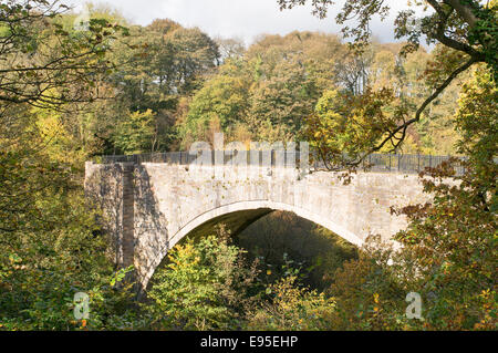 Durham, Royaume-Uni. 20 octobre, 2014. Plus ancien pont ferroviaire à travée unique survivant vu avec la couleur en automne. Credit : imagerie Washington/Alamy Live News Banque D'Images