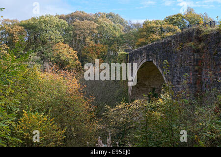 Durham, Royaume-Uni. 20 octobre, 2014. Plus ancien pont ferroviaire à travée unique survivant vu avec la couleur en automne. Credit : imagerie Washington/Alamy Live News Banque D'Images