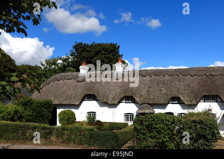 Arbre de chêne français d'été, blanc cottages en Lyndhurst Ville, Parc National de New Forest, Hampshire County ; Angleterre ; la Grande-Bretagne, Royaume-Uni Banque D'Images