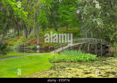 Les fleurs d'azalées PASSERELLE MILL POND MIDDLETON PLACE ANCIEN ESCLAVE ASHLEY RIVER PLANTATION CHARLESTON EN CAROLINE DU SUD USA Banque D'Images