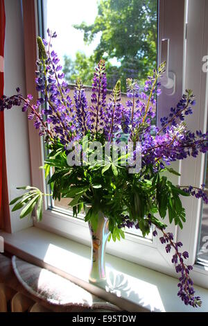 Violet bouquet de fleurs dans un vase pompeux sur la fenêtre Banque D'Images