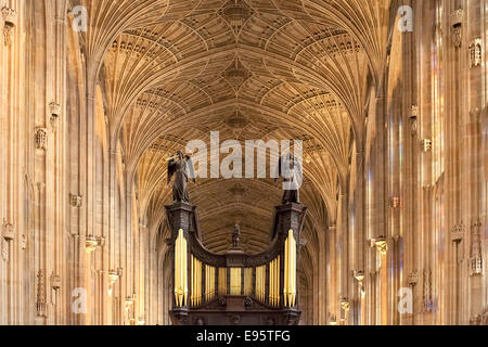 Orgue et les voûtes de la chapelle de King's College, Cambridge Banque D'Images