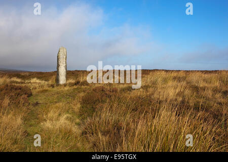 Une vieille pierre debout sur la lande d'herbes et de roseaux sur Danby moor sur le North York Moors en Angleterre Banque D'Images