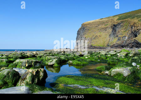 Crackington Haven à North Cornwall, UK Banque D'Images