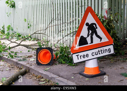 La coupe d'arbres panneau de sécurité et le cône sur la rue à propos d'avertissement de danger zone avec des branches et de la sciure sur l'asphalte Banque D'Images